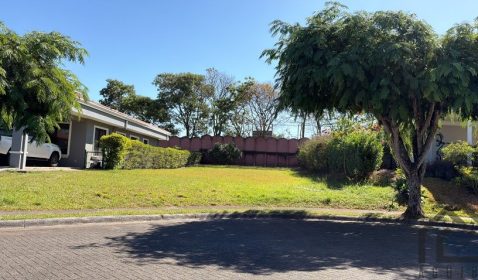 7F313531-C2B2-449D-BCAC-C32CA4C76E96