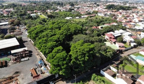 created by dji camera