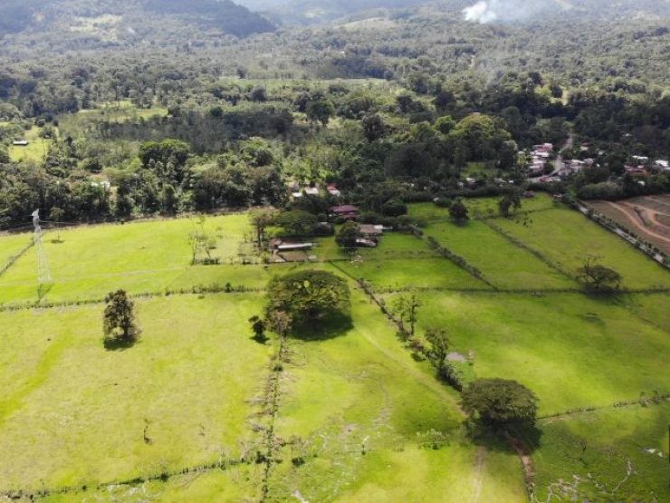 DJI_0323