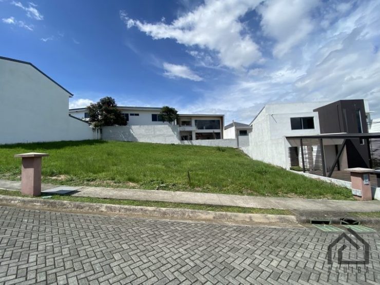 IMG-6085 IMG-6085